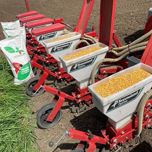 Селекция и семеноводство в органическом сельском хозяйстве: российский опыт